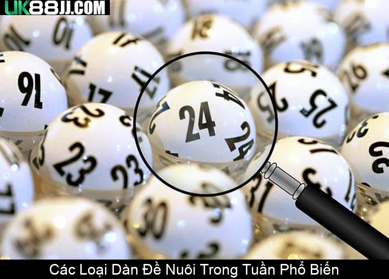 Các Loại Dàn Đề Nuôi Trong Tuần Phổ Biến