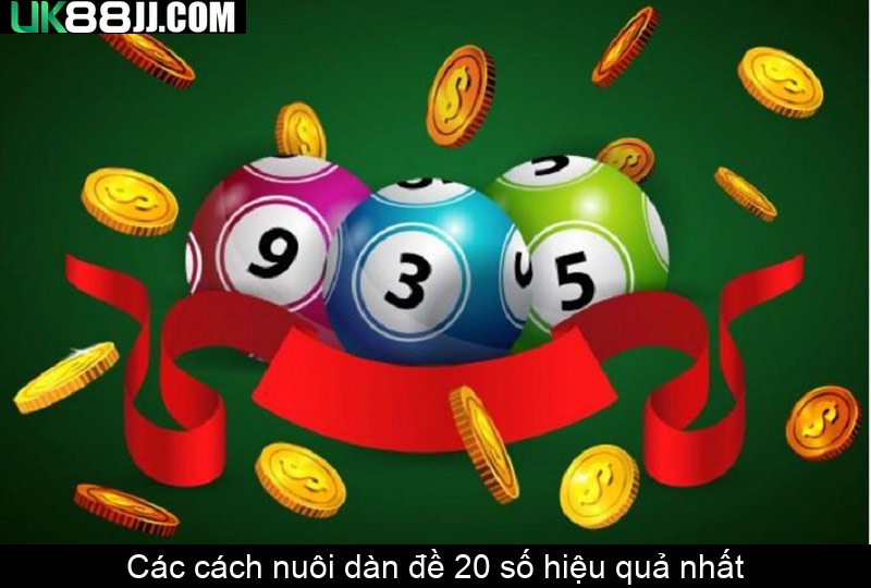 Các cách nuôi dàn đề 20 số hiệu quả nhất