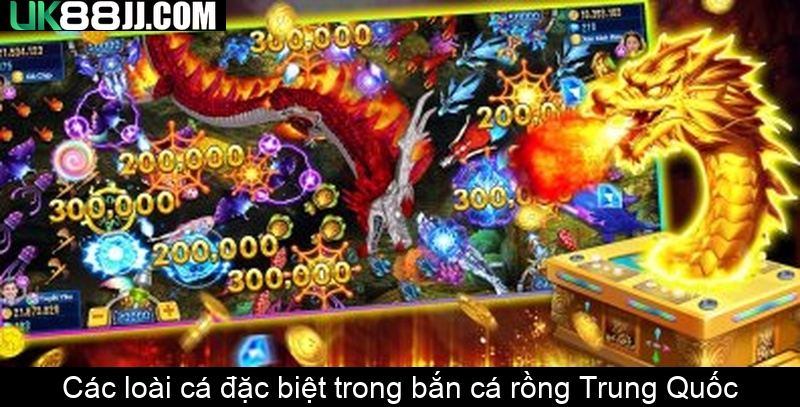 Các loài cá đặc biệt trong bắn cá rồng Trung Quốc