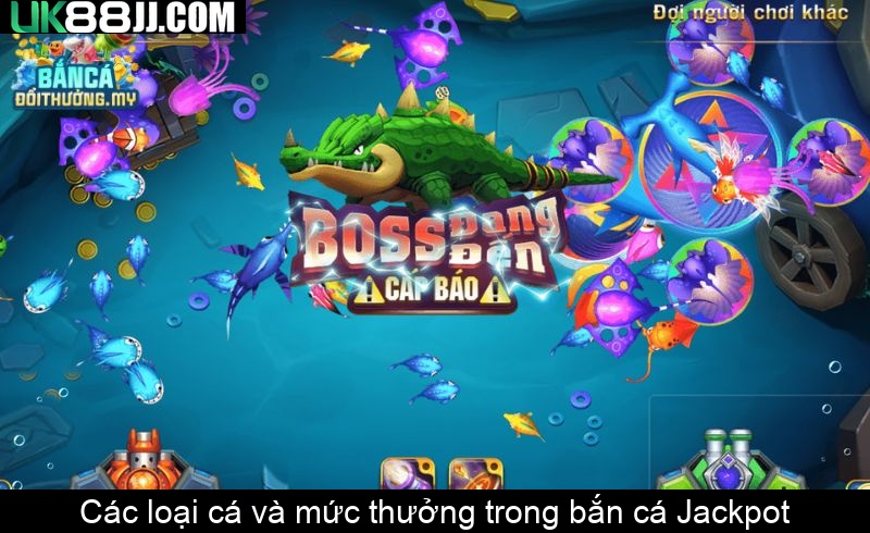 Các loại cá và mức thưởng trong bắn cá Jackpot