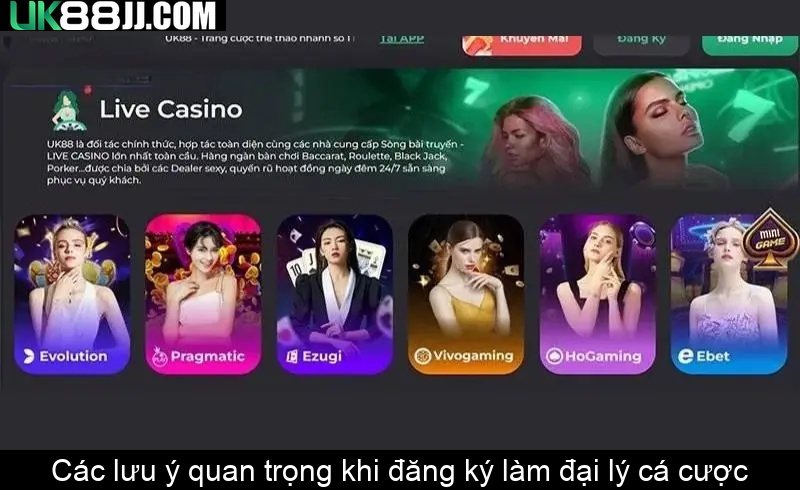 Các lưu ý quan trọng khi đăng ký làm đại lý cá cược