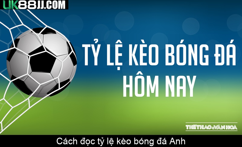 Cách đọc tỷ lệ kèo bóng đá Anh