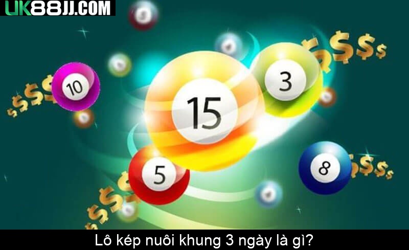 Lô kép nuôi khung 3 ngày là gì