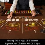 Những Thuật Ngữ Về Baccarat Người Chơi Cần Biết Khi Cá Cược