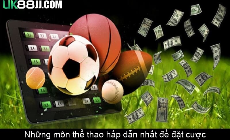 Những môn thể thao hấp dẫn nhất để đặt cược Những môn thể thao hấp dẫn nhất để đặt cược