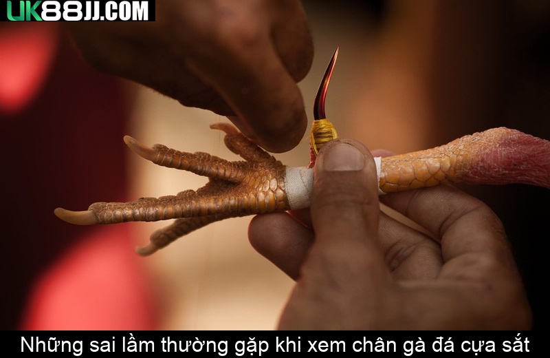 Những sai lầm thường gặp khi xem chân gà đá cựa sắt