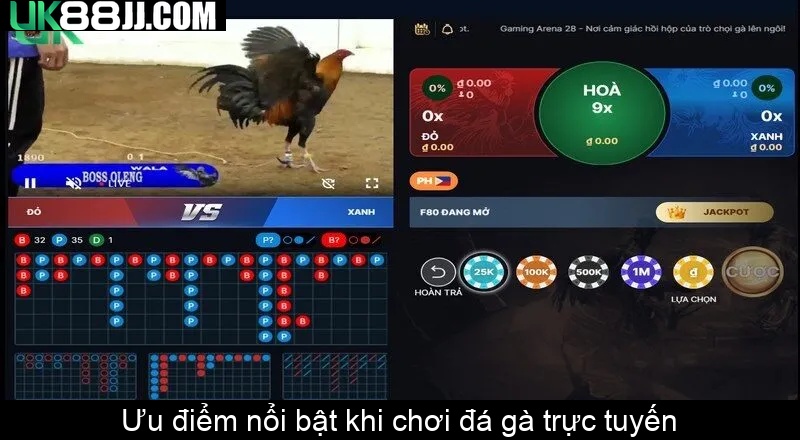 Ưu điểm nổi bật khi chơi đá gà trực tuyến Ưu điểm nổi bật khi chơi đá gà trực tuyến